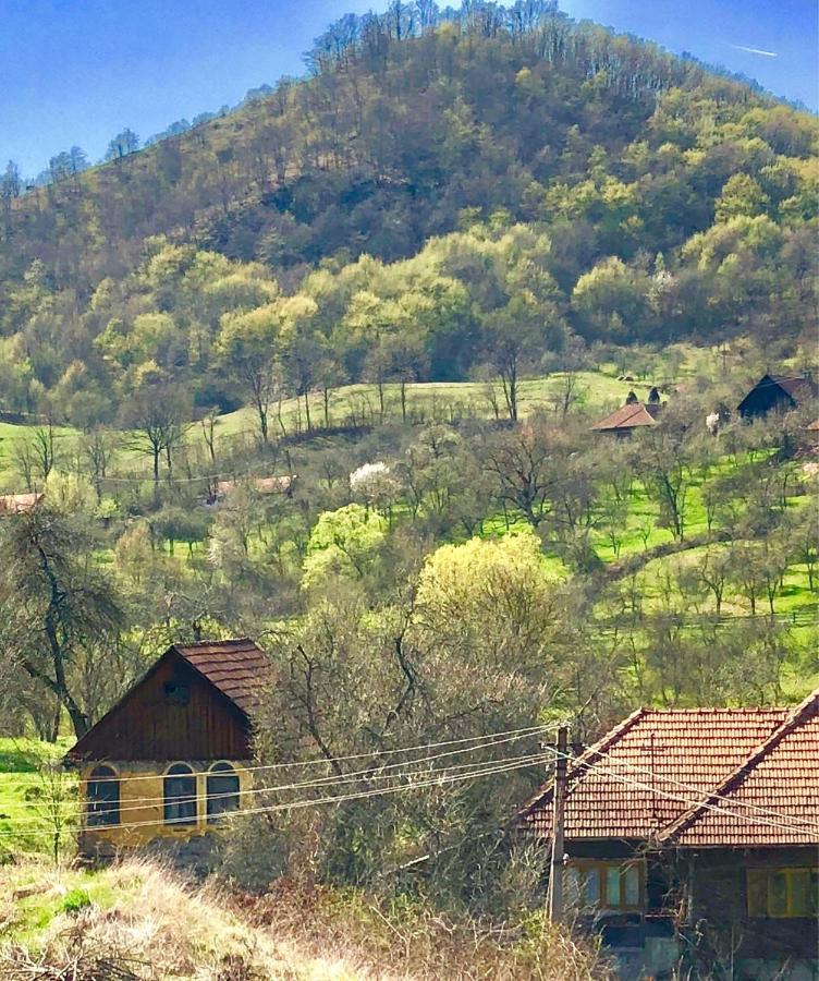 Pensiunea La Buru Caraciu Εξωτερικό φωτογραφία