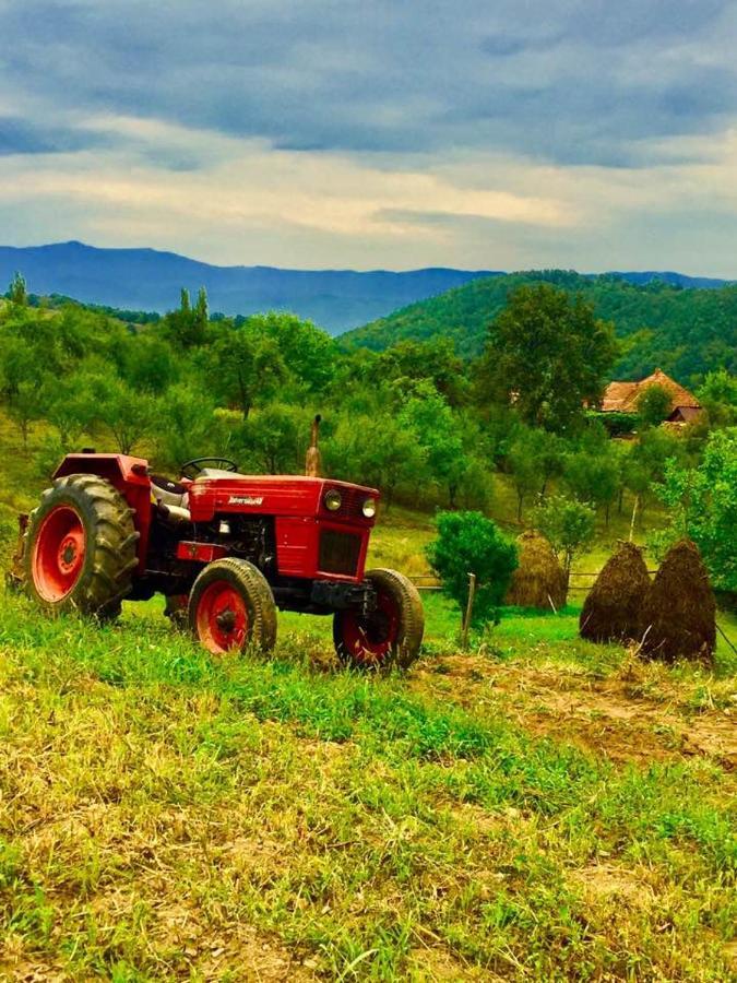 Pensiunea La Buru Caraciu Εξωτερικό φωτογραφία