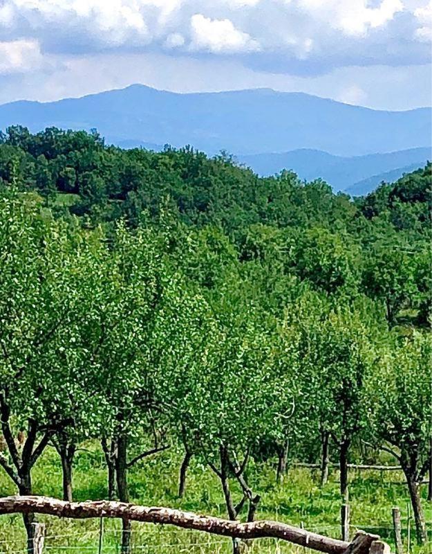 Pensiunea La Buru Caraciu Εξωτερικό φωτογραφία