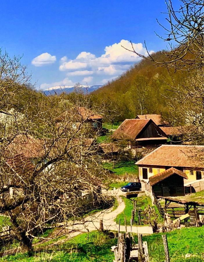 Pensiunea La Buru Caraciu Εξωτερικό φωτογραφία